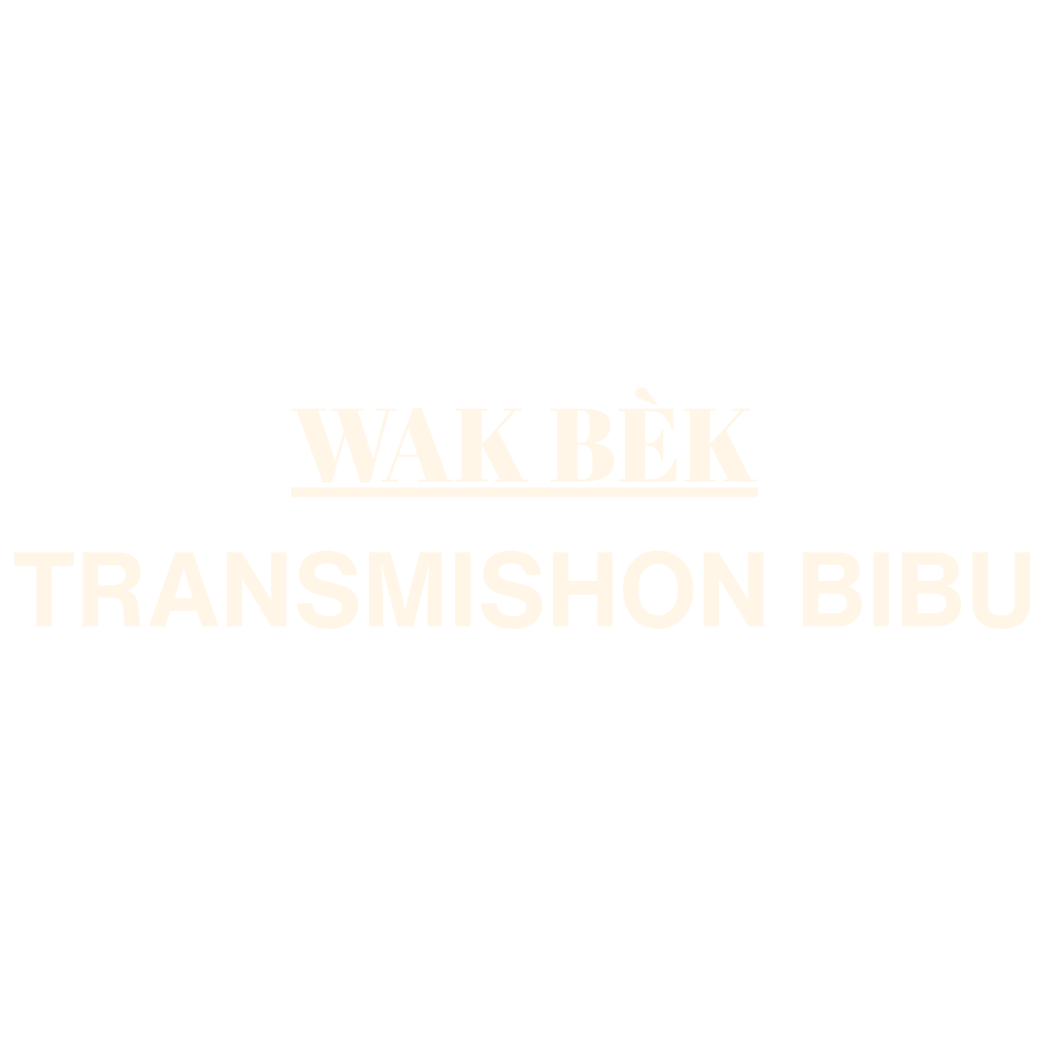 Transmishon Bibu