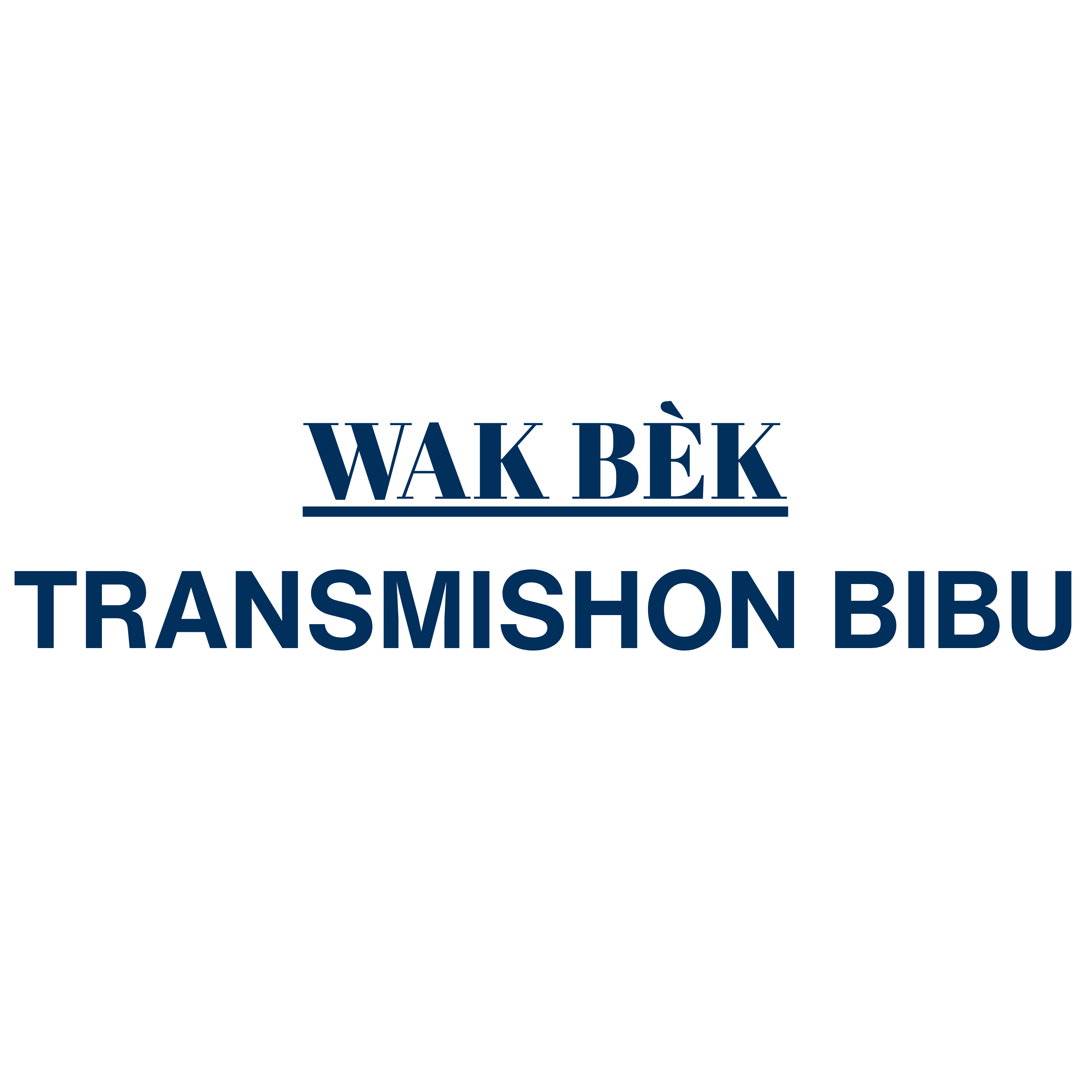 Transmishon Bibu